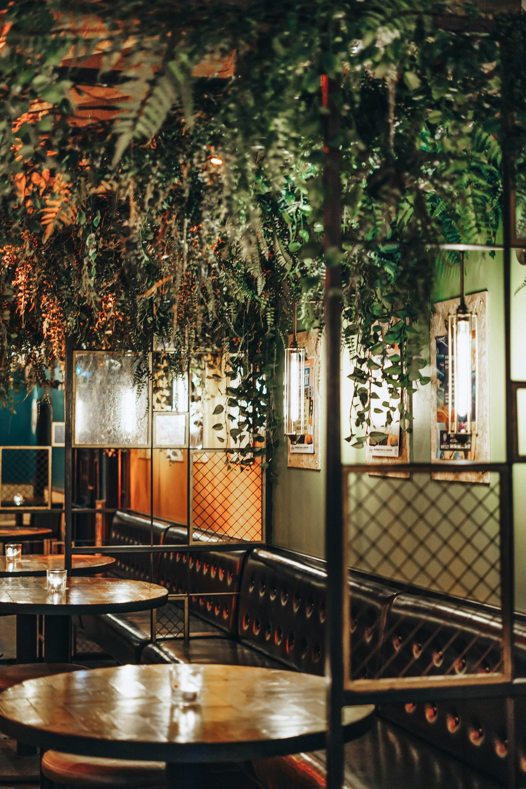 Restaurants